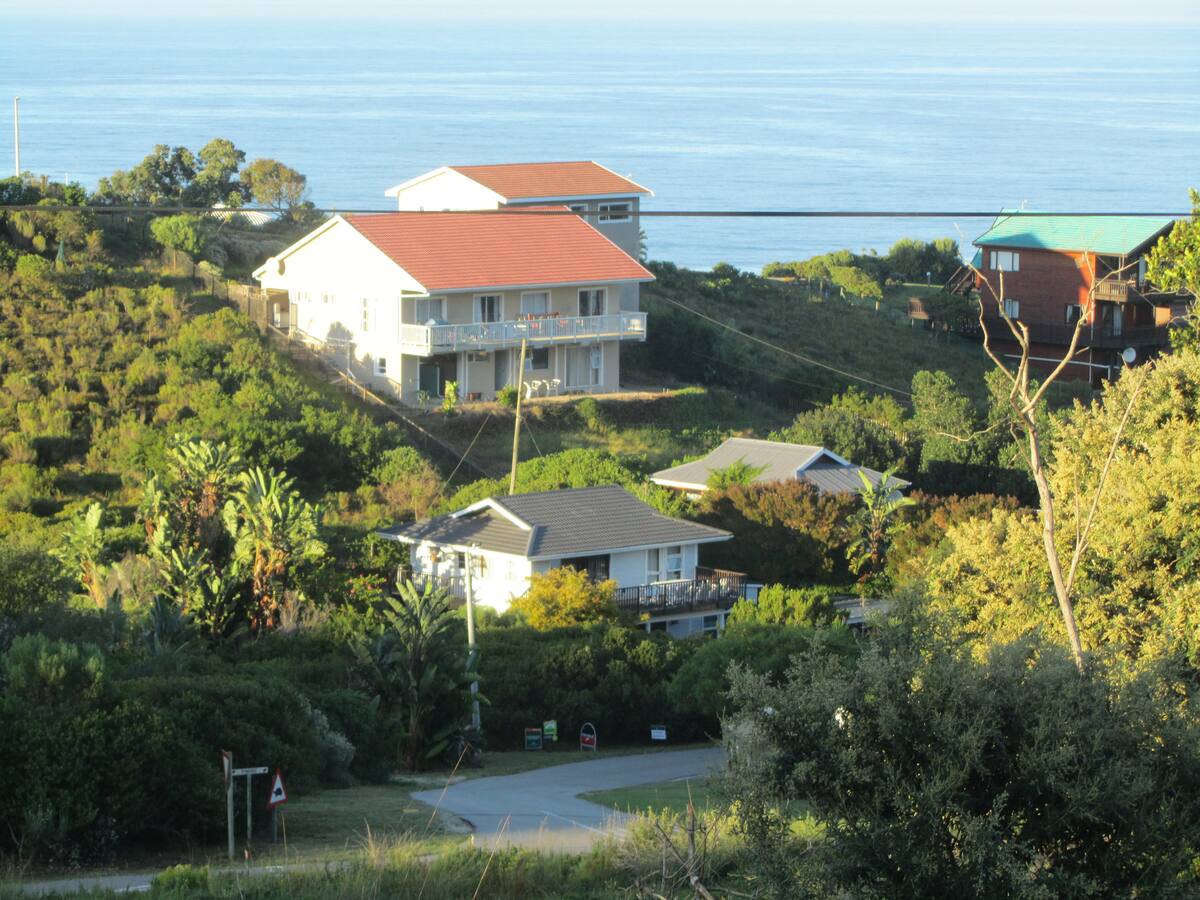 Seaviews 247 — photo 13